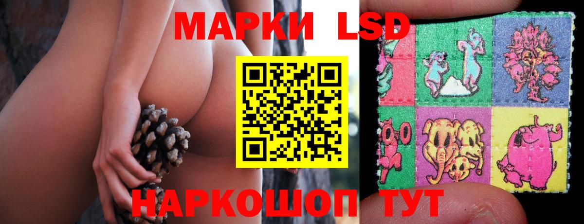 Лсд 25 экстази кислота  Лсд 25 экстази  Нерюнгри  Вход с VPN  LSD-25 экстази кислота 
