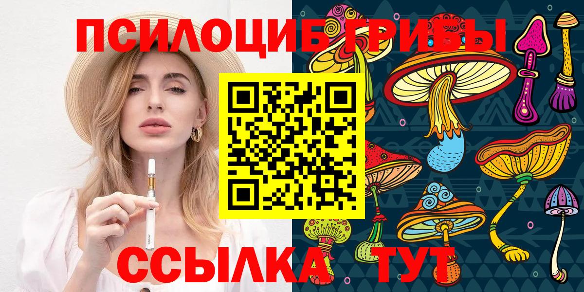 Псилоцибиновые грибы GOLDEN TEACHER Нерюнгри