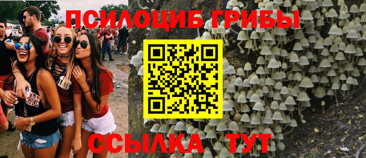 Нерюнгри  продажа наркотиков  Вход с VPN  Галлюциногенные грибы ЛСД 